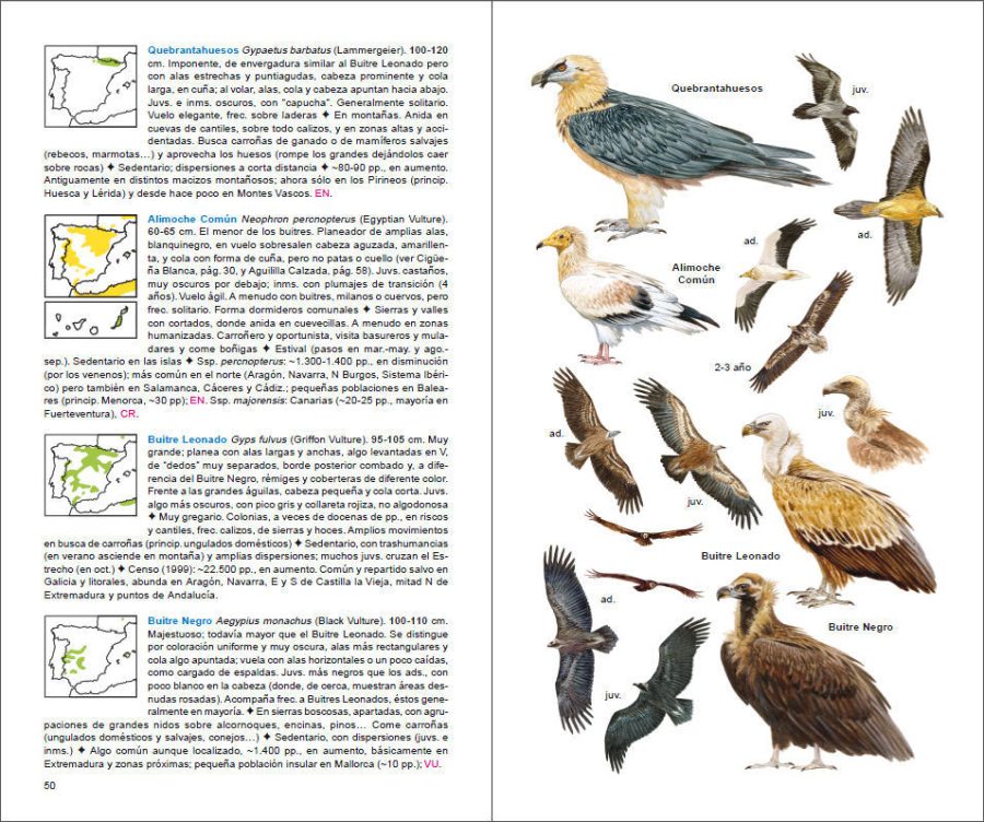 Aves de España sample page